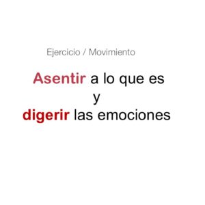Asentir a lo que es y digerir las emociones